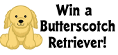 butterscotchretriever