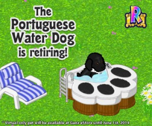 webkinz portuguese water dog