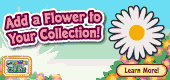 Flower_Collection.F1 Flower_Collection.F1