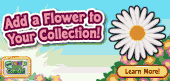 Flower_Collection.F1