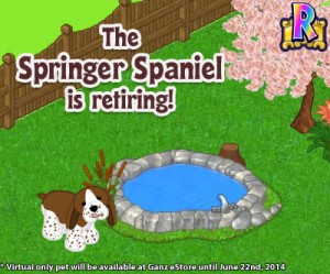 Webkinz deals springer spaniel