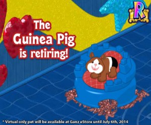 webkinz guinea pig