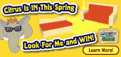 Tangerine_Deco_Peek_a_Newz.F1 Tangerine_Deco_Peek_a_Newz.F1