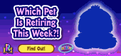 Retiring_Shih_Tzu.F1