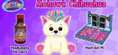 Mohawk_Chihuahua_MP1
