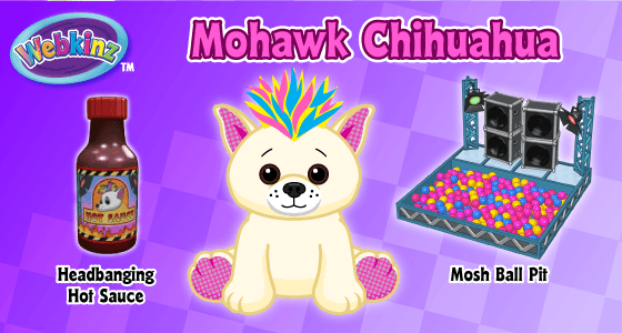 Cute  puppy!!! Webkinz Mohawk Chihuahua New with Sealed  Code .. 