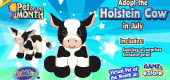 POTM_holsteincow_MP1