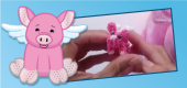 FlutterPigFeature FlutterPigFeature