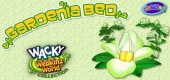 2014-wknz-feat-gardeniabed 2014-wknz-feat-gardeniabed