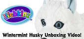 Wintermint Husky Unboxing Featured Image