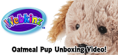 Oatmeal Pup Unboxing Featured Image