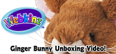 Ginger Bunny Unboxing Featured Image