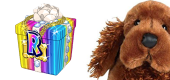 Irish Setter FEATURE Irish Setter FEATURE