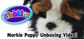 Morkie Puppy Unboxing Featured Image