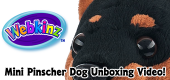 Mini Pinscher Dog Unboxing Featured Image