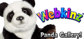 Pandas - Featured Image