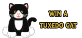 tuxedocat