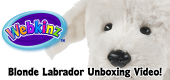 Blonde Labrador Unboxing Featured Image