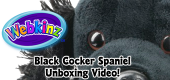 Black Cocker Spaniel Unboxing Featured Image