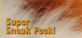 July Pet 1 feature