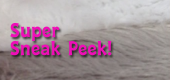 July Pet 2 feature