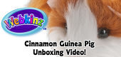Cinnamon Guinea Pig Unboxing Featured Image