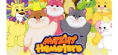 HAMSTERS feature