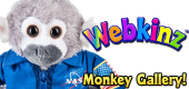 Monkeys - Featured Image