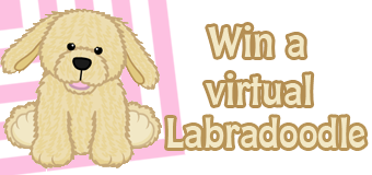 labradoodle-feature