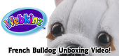 French Bulldog Unboxing Featured Image