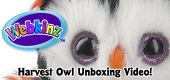 Harvest Owl Unboxing Featured Image