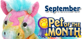 POTM Tie Dyed Pony Featured Image