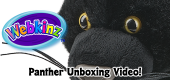 Panther Unboxing Featured Image