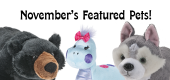 novemberfeaturedpets-feature