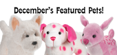 December 2015 Featured Pets Feature