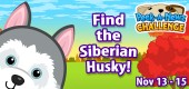 HuskyPeekaNewzFeature HuskyPeekaNewzFeature