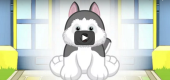 HuskyVideoFeature