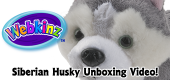 Siberian Husky Unboxing Featured Image