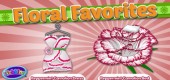 2015-wknz-feat-ffav-carnation 2015-wknz-feat-ffav-carnation