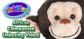 African Chimpanzee Unboxing Featured Image