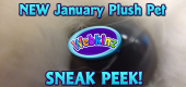 January Pet 1 Sneak Peek Featured Image