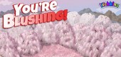 2017-wknz-feat-blushing