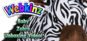 Baby Zebra Unboxing Featured Image