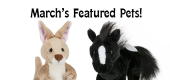 March Featured Pets Feature07682fgdd