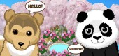 new_free_pet_dm_feb2017_feature