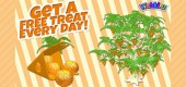 2017-wknz-feat-ct-carrot
