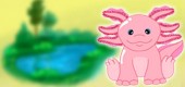 axolotl_psi_feature