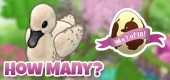 HowManySwansFeature HowManySwansFeature