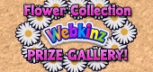 Flower Collection Gallery Featured Image