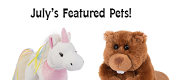 July Featured Pets Feature